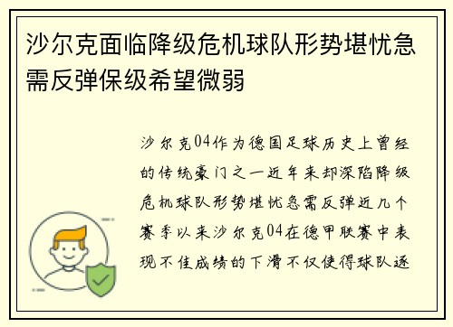 沙尔克面临降级危机球队形势堪忧急需反弹保级希望微弱