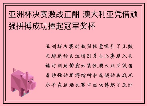 亚洲杯决赛激战正酣 澳大利亚凭借顽强拼搏成功捧起冠军奖杯