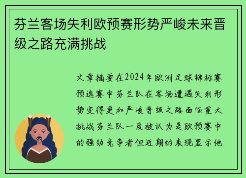 芬兰客场失利欧预赛形势严峻未来晋级之路充满挑战